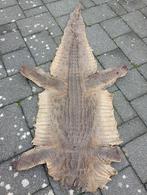 Vintage krokodillenhuid, Ophalen