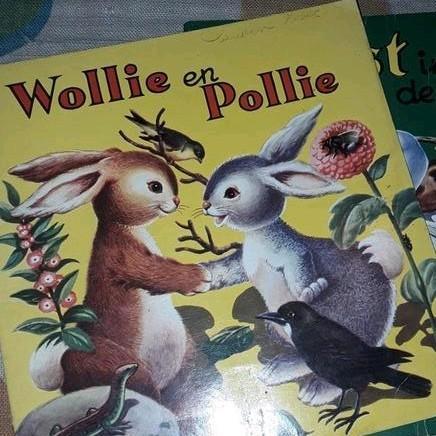 Wollie en Pollie / feest in de sloot, Boeken, Prentenboeken en Plaatjesalbums, Gelezen, Ophalen of Verzenden