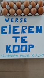 Verse eieren, Ophalen of Verzenden