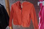 zomerjas mt XS, Kleding | Dames, Jassen | Zomer, Ophalen, Gedragen