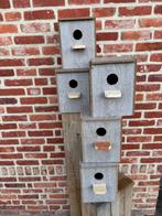 Nestkasten voor parkieten nieuw, Ophalen, Nieuw, Hout, Broedkooi of Kweekkooi