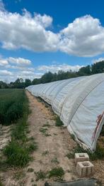 Tunnel, Ophalen, Zo goed als nieuw, Serre