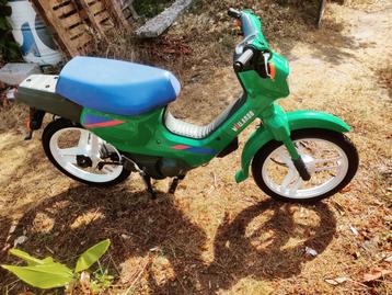 Honda wallaroo met trappers beschikbaar voor biedingen