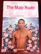 The Male Nude - Taschen 2005 - David Leddick, Boeken, Kunst en Cultuur | Fotografie en Design, Ophalen
