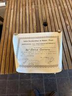 diploma machineschrift 1940 dactylographique, Collections, Rétro, Enlèvement ou Envoi, Autres types