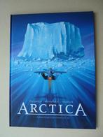 Arctica -  Sylvester  HC, Pecqueur - Kovacevic -, Eén stripboek, Nieuw, Ophalen of Verzenden