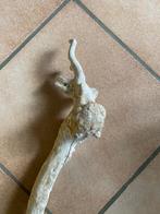 Drijfhout lijkt de kop te zijn van een dier met hoorns 76 cm, Antiek en Kunst, Verzenden