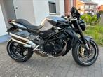 MV Agusta Brutale 920, Motoren, Motoren | MV Agusta, 4 cilinders, 921 cc, Particulier, Meer dan 35 kW