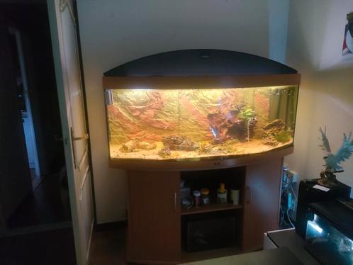 Aquarium juwel 450 liter, Dieren en Toebehoren, Vissen | Aquaria en Toebehoren, Zo goed als nieuw, Gevuld zoetwateraquarium, Ophalen