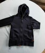 Maat 122, Kinderen en Baby's, Kinderkleding | Maat 122, Ophalen of Verzenden, Zo goed als nieuw, Jongen of Meisje, Trui of Vest