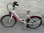 Fiets 20 inch, Fietsen en Brommers, Ophalen, Gebruikt, 20 inch, Oxford