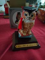 Wijze uil wise owl Leonardo graduation, Ophalen of Verzenden, Zo goed als nieuw