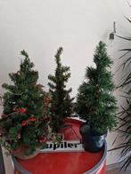3 kerstbomen Voor 12 euro, Tuin en Terras, Ophalen