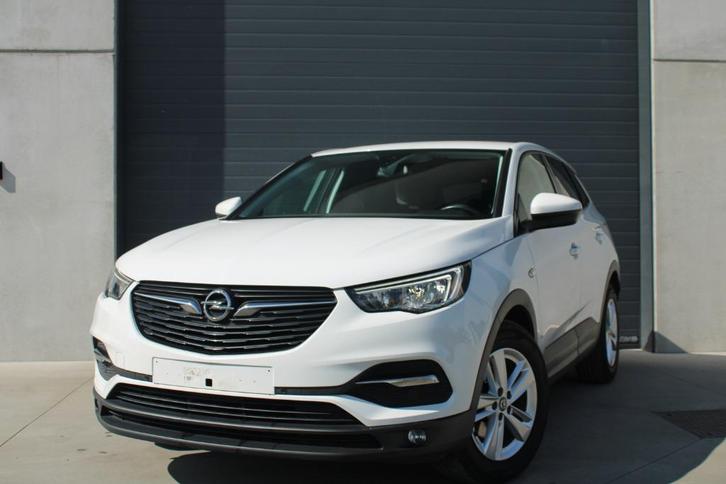 Opel Grandland X 1.2 Turbo |CARPLAY | PDC | CRUISE |1STE EIG, Auto's, Opel, Bedrijf, Te koop, Grandland X, ABS, Airbags, Airconditioning