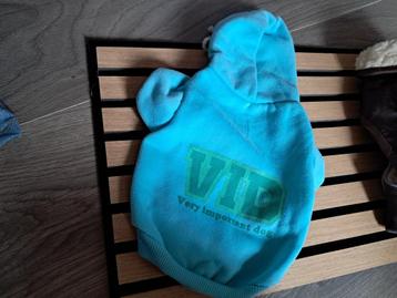 Sweat turquoise 25 cm - petit chien  beschikbaar voor biedingen