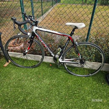 Sensa Lombardia Ultimo, carbon frame, zowel man als vrouw beschikbaar voor biedingen