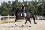 Mooie zwarte merrie met goede afstamming, Dieren en Toebehoren, Paarden, Merrie, Zadelmak