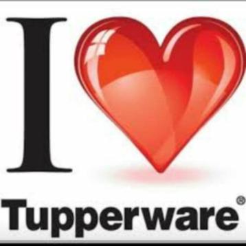 Groot lot van TUPPERWARE  beschikbaar voor biedingen