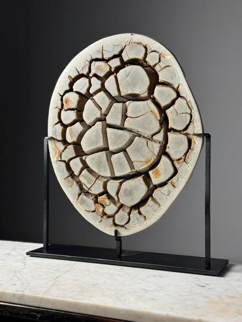 Septarian Nodule Custom op standaard, Verzamelen, Mineralen en Fossielen, Ophalen
