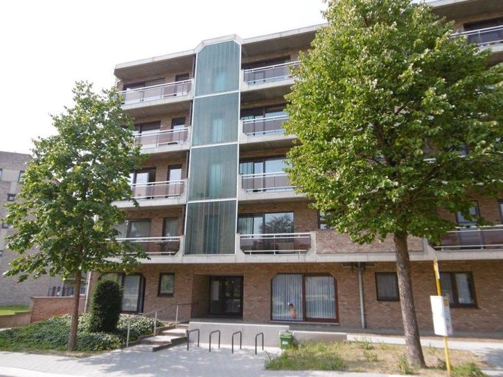 appartement te huur in Hasselt, Immo, Maisons à louer, Hasselt, Appartement, En direct du propriétaire, C