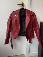 rood 'lederen' jasje Zara Basic maat S, Kleding | Dames, Ophalen of Verzenden, Jasje, Maat 36 (S), Zara Basic