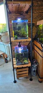 2 aquarium's met inhoud en toebehoren, Ophalen, Zo goed als nieuw, Gevuld zoetwateraquarium