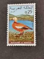 Maroc 1970 - oiseaux - tadorul **, Enlèvement ou Envoi, Maroc, Non oblitéré