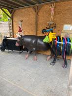 Levensgrote koe /stier/os, Ophalen, Kunststof, Dierenbeeld