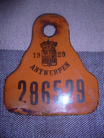 mooie taksplaat 1929 antwerpen fietsplaat email beschikbaar voor biedingen