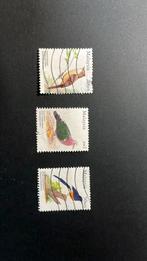 Vogels uit Malaysia, Ophalen of Verzenden