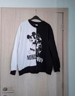 Trui met rits DISNEY maat XL, Kleding | Dames, Truien en Vesten, Disney, Ophalen of Verzenden, Zo goed als nieuw, Maat 46/48 (XL) of groter