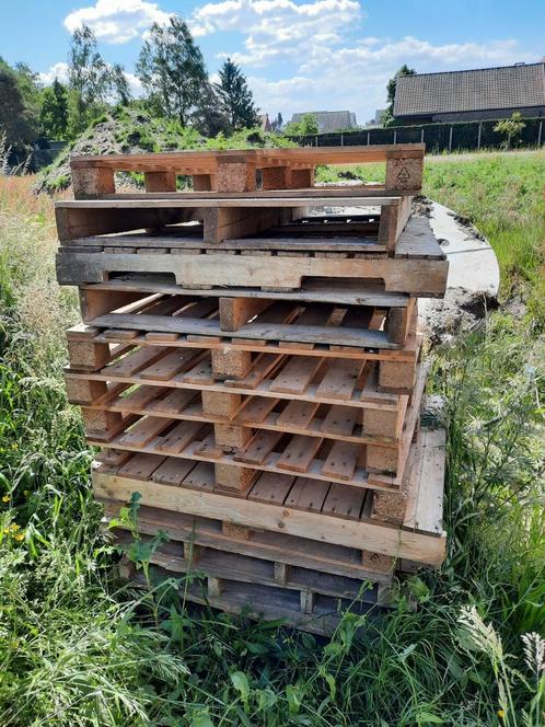 Paletten (60 stuks), Doe-het-zelf en Bouw, Hout en Planken, Ophalen