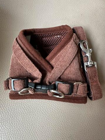 Tuig incl leiband voor klein hondje beschikbaar voor biedingen