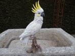 statue d un perroquet CACATOES effet naturel ..., Jardin & Terrasse, Animal, Synthétique, Enlèvement ou Envoi, Neuf