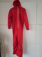 Skipak kinderen - 10 jaar, Sport en Fitness, Skiën en Langlaufen, Zo goed als nieuw, Kleding, Ski, Ophalen