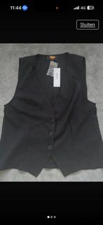 Unisex mouwloos gilet zwart, Ophalen, Zwart, Zo goed als nieuw, Jasje