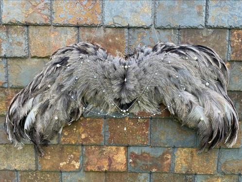Nieuw opgezette nandoevleugels, Verzamelen, Dierenverzamelingen, Nieuw, Overige typen, Vogel, Ophalen