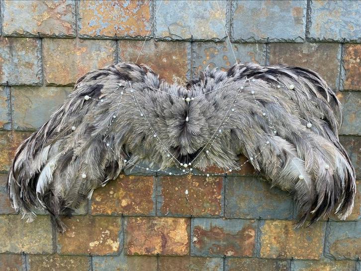 Nieuw opgezette nandoevleugels, Verzamelen, Dierenverzamelingen, Nieuw, Overige typen, Vogel, Ophalen