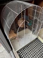 Vogel kooi, Ophalen, Zo goed als nieuw, Metaal, Vogelkooi