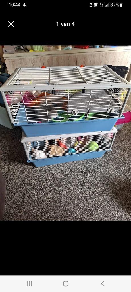 Hamsterkooien en toebehoren, Dieren en Toebehoren, Knaagdieren en Konijnen | Hokken en Kooien, Kooi, Hamster, Ophalen