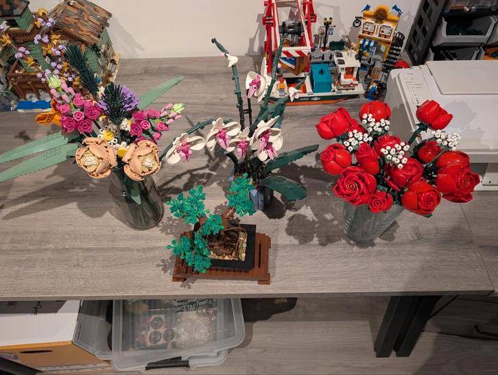 Lego botanicals collectie, Kinderen en Baby's, Speelgoed | Duplo en Lego, Lego, Ophalen