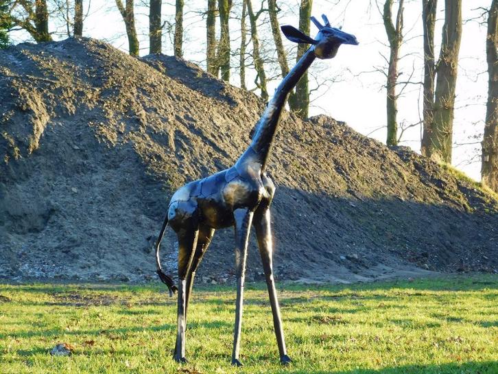 Handgemaakte Giraffe - 155 cm - Zwart met Gouden details - M, Antiek en Kunst, Kunst | Designobjecten, Ophalen of Verzenden