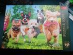 puzzel 1000  (zie mijn nieuwe aanbiedingen puzzels), Ophalen of Verzenden, Zo goed als nieuw