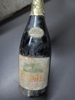 ️⚠️Bière Bush Dubuisson 2000, Ophalen of Verzenden, Gebruikt, Flesje(s), Overige merken