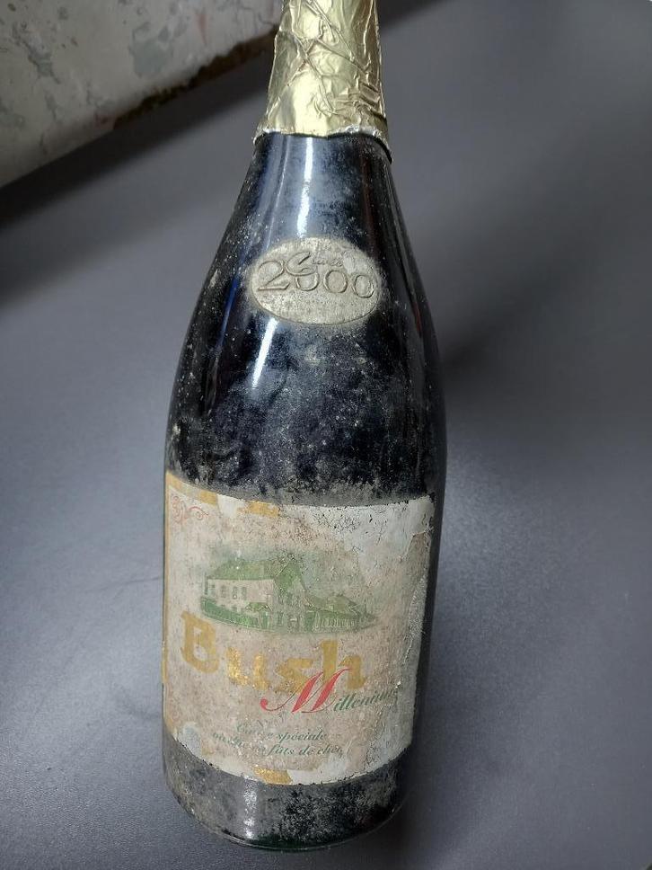 ️⚠️Bière Bush Dubuisson 2000, Verzamelen, Biermerken, Gebruikt, Flesje(s), Overige merken, Ophalen of Verzenden