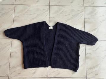 Cardigan en maille Terra di Siena TU (nr1457a)  disponible aux enchères