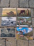6 zeer oude postkaarten met koeien, Verzamelen, Ophalen of Verzenden, 1920 tot 1940, Overige soorten