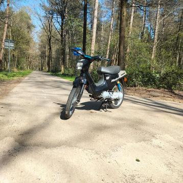 Honda Wallaroo Deluxe, Enlèvement ou Envoi, Neuf, Classe A (25 km/h), 65 cm³