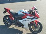 Honda CBR 600f 2013, 4 cilinders, Meer dan 35 kW, 599 cc, Sport