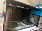 aquarium 80cm, Dieren en Toebehoren, Vissen | Aquaria en Toebehoren, Ophalen